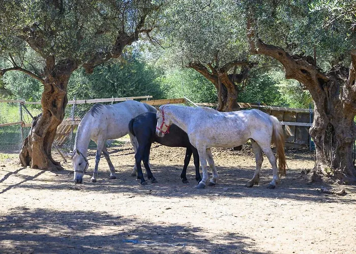 Semantron Traditional Village Hotel 4*